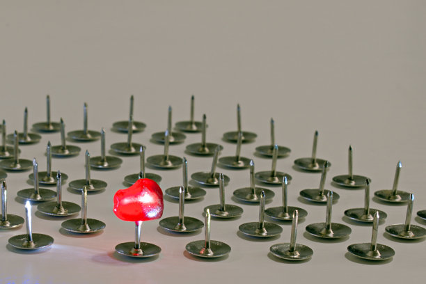 鲜红的石榴籽插在大头针上图片下载