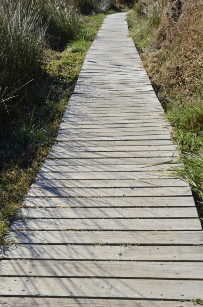木制的路径图片下载