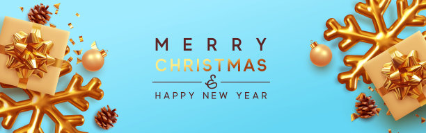 圣诞节的旗帜。图片下载