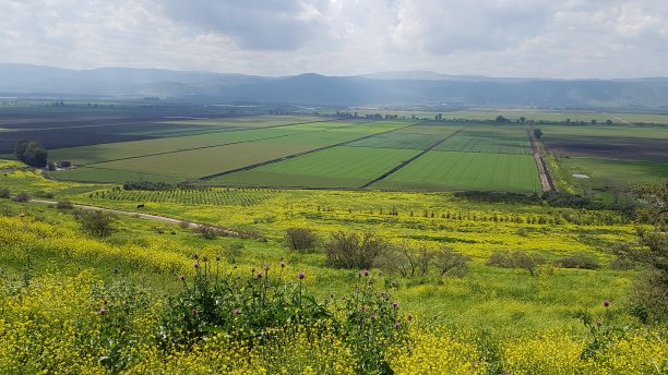 以色列北部春季神奇乡村俯瞰胡拉谷图片下载