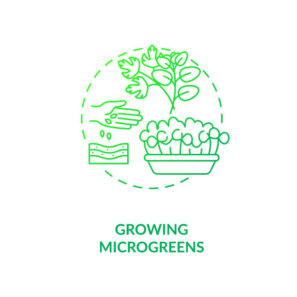 生长的微型绿色概念图标图片下载