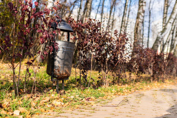 垃圾桶在一个自然公园，一个由金属制成的垃圾桶在一个开放的自然草地上，以桦树为背景，在阳光明媚的下午城市生活的概念图片下载