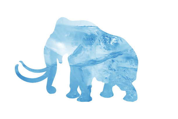 大象剪影与蓝色的冰纹理孤立在白色的背景图片下载