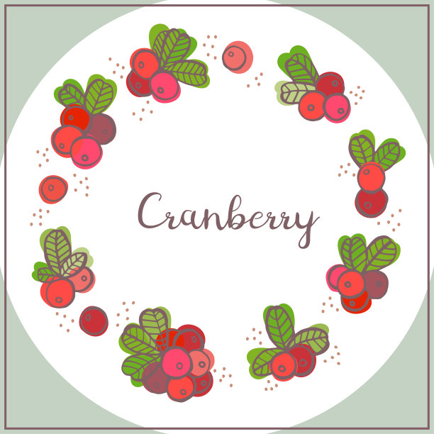 圆框蔓越莓，浆果，树叶。图片下载