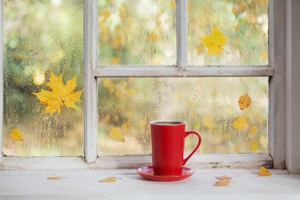 秋日白木窗台上的一杯茶图片下载