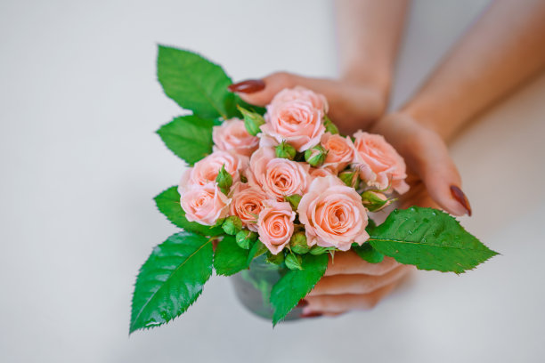 一小束粉红色的玫瑰在女性手中以浅色为背景，这是妇女节的概念图片下载