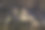 满月和星星在天空与云照耀北欧野生森林，长曝光夜照片，秋天，处女景观图片下载
