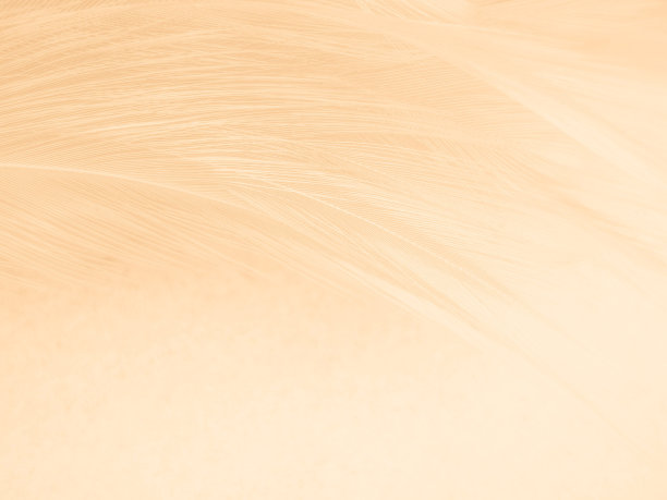 美丽抽象的橙色和白色羽毛上的白色背景，柔软的棕色羽毛纹理上的白色图案背景，黄色的羽毛背景，爱情主题，情人节图片下载