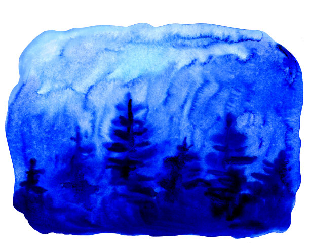 冬季和圣诞节的季节插图与森林景观在夜晚-深蓝色的冷杉树和蓝色的天空。背景模板。水彩插图。图片下载