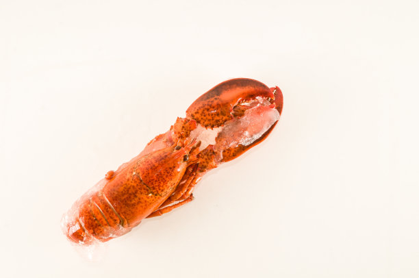 鲜蒸美味龙虾图片下载