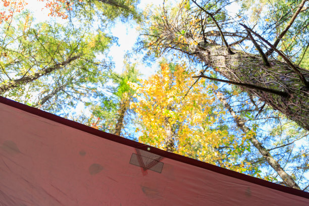 我拍下了露营地油布上彩色的树。图片下载