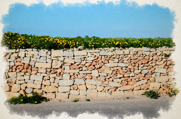 马耳他丁利悬崖附近的石砖、沥青街、甘菊田间、黄橙墙、黄橙墙水彩画图片下载