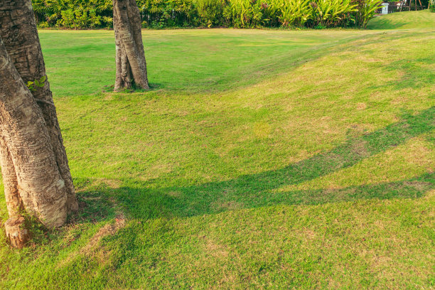 豪华现代住宅与美丽的景观前院与新鲜的绿草灌木和树木园林景观设计草平滑的草坪与曲线从灌木山蓝天背景。图片下载