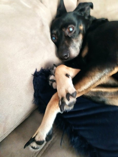 高级品图片下载