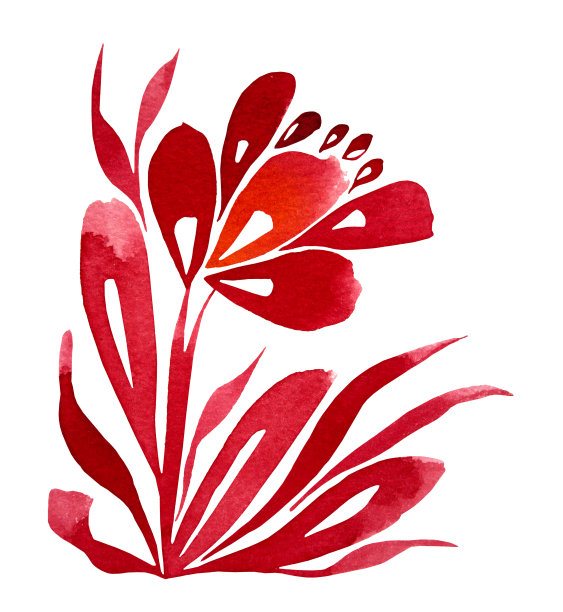 水彩手绘红色抽象花与叶子孤立在白色背景。艺术创作自然对象图片下载