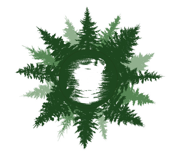 夏季森林上有圆，美丽的绿色云杉。轮廓的森林。圆圈内是笔触名称。矢量图图片下载