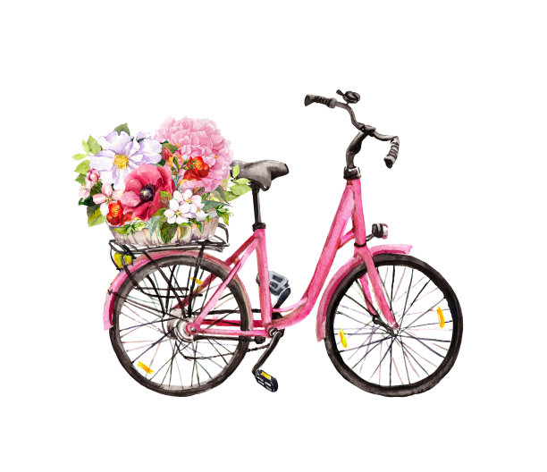 粉红色的自行车，花篮。水彩图片下载
