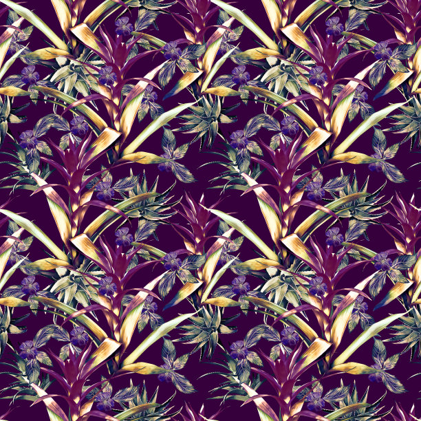 古兹曼花与芦荟和热带植物无缝图案。图片下载