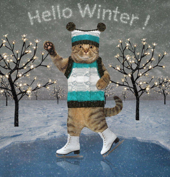 穿着背心的猫在池塘上滑冰图片下载