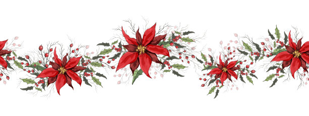 无缝花框架，镶边。一品红、冬青做成的逼真的节日花。现代写实主义风格的手绘冬花。矢量装饰打印，你的想法。图片下载