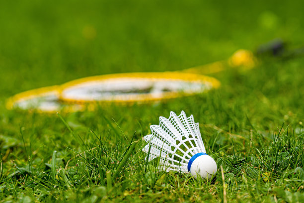 白色羽毛球特写草地与黄色羽毛球拍，以模糊的背景图片下载