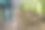在花园里挖坑种植针叶树图片下载