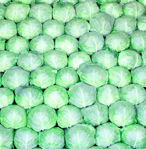 背景有青菜、生白菜串图片下载