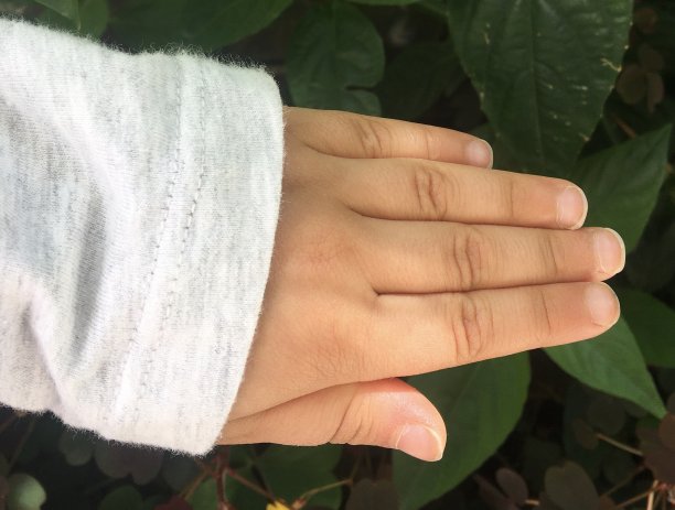 女孩的手图片下载