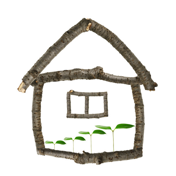 孤立的枝家与新鲜的绿叶在白色的背景图片下载