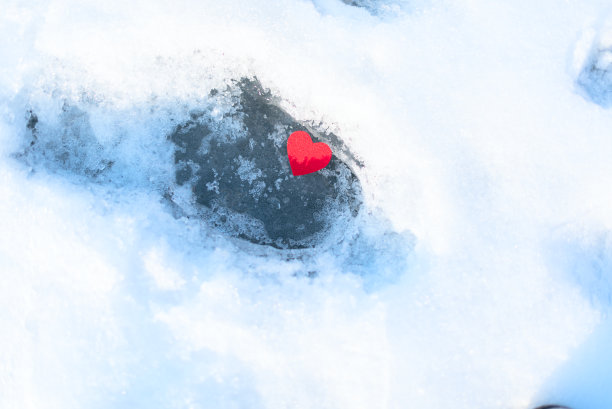 小红在冰雪上摸到了心。情人节，冬天的概念。问候卡或请帖。为文本复制空间。图片下载