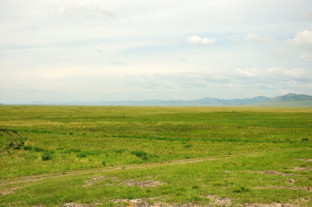 连绵起伏的草原，在蓝色的夏日天空和白色的积云下播种着青草。图片下载