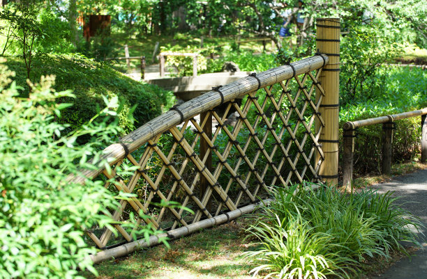 花园的绿色图片下载