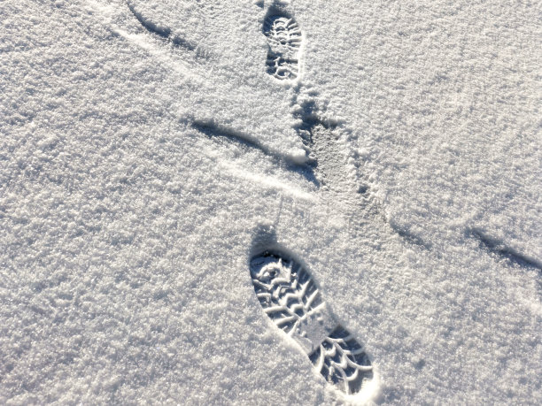 雪地纹理与脚印图片下载