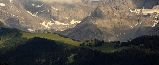 森林脊图片下载