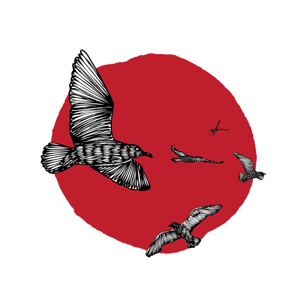 集鸟群、飞翔的海鸥于日落或日升，手绘海鸟纹理素描。概念帆或水手的生活方式。日落的背景。向量。图片下载