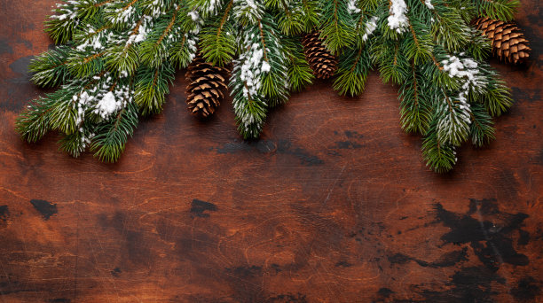 有冷杉和松果的圣诞贺卡图片下载