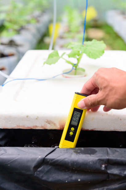 检查水培系统水仓的pH值图片下载