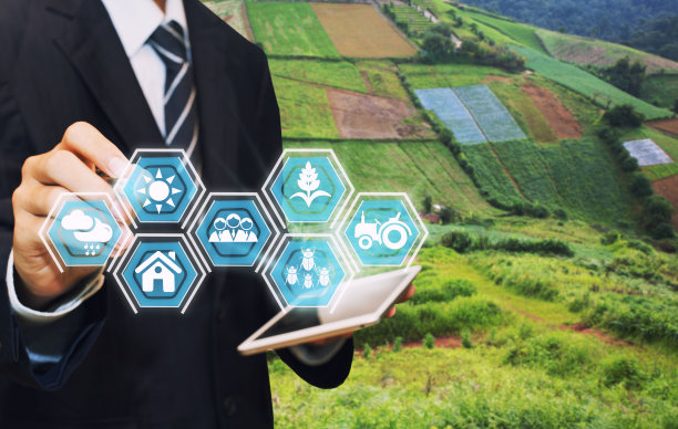 创新技术为智能农场系统，农业管理，手持智能手机与智能技术理念。图片下载