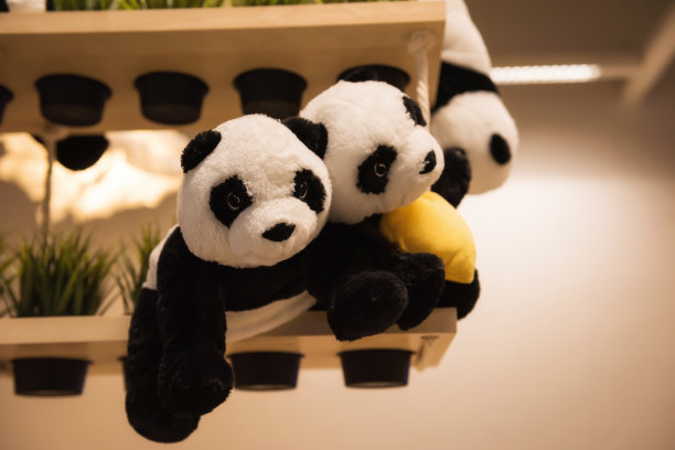 熊猫玩偶在架子上为新生儿出生的房子图片下载