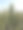 蓝天下植物园里的一组绿色柱状仙人掌。热带植物和植物学背景。图片下载