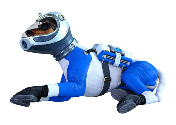 3D插图宇航员狗在白色图片下载