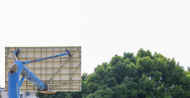 户外学校篮球目标，白色的背板和蓝色的柱后视图与樟树的背景图片下载