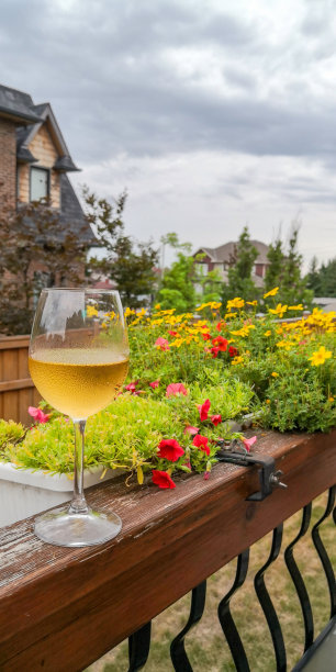 院子里黄昏图片下载