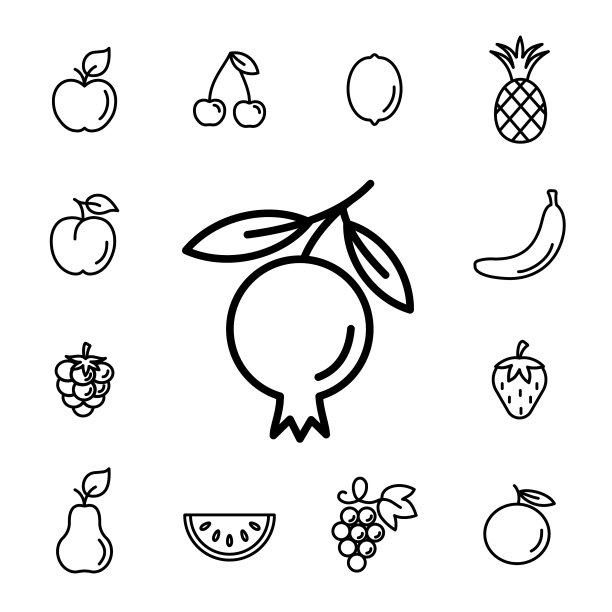 石榴红色果实，叶线呈图标黑色图片下载