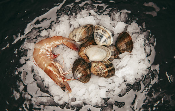 冰生海鲜图片下载