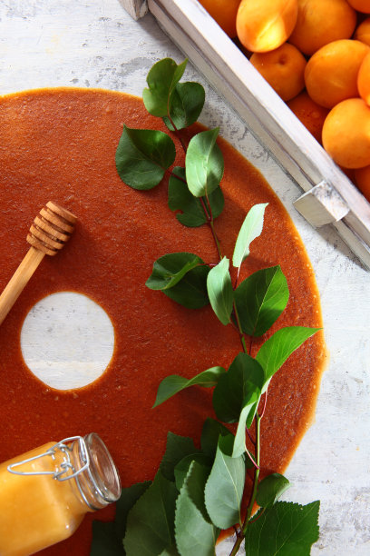 白色背景上的杏树树枝和杏糖。白色木箱装着杏子。天然食品。坚持蜂蜜。低热量的零食。垂直的照片。图片下载