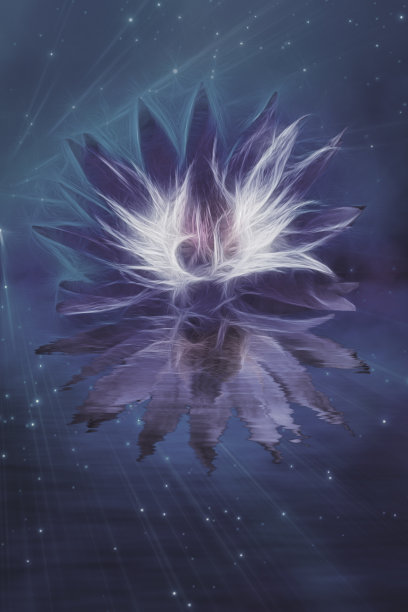 美丽的荷花抽象图片下载