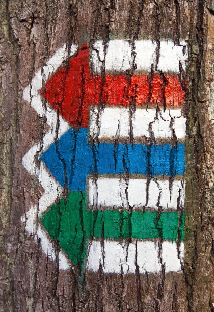 红、绿、蓝游客用箭头作标志图片下载