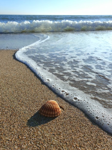 近景海浪靠近岸边的贝壳。沙滩与海浪在大海和地平线。享受阳光明媚日子的宁静。图片下载