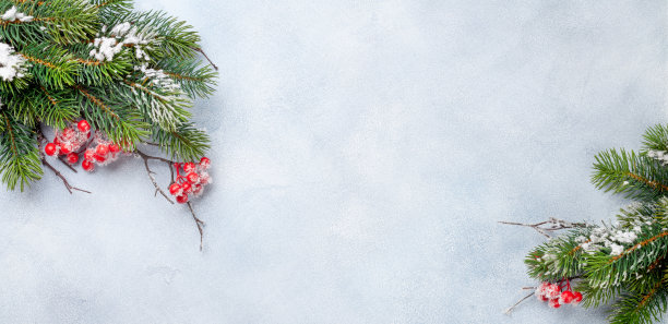 圣诞贺卡与冷杉树图片下载